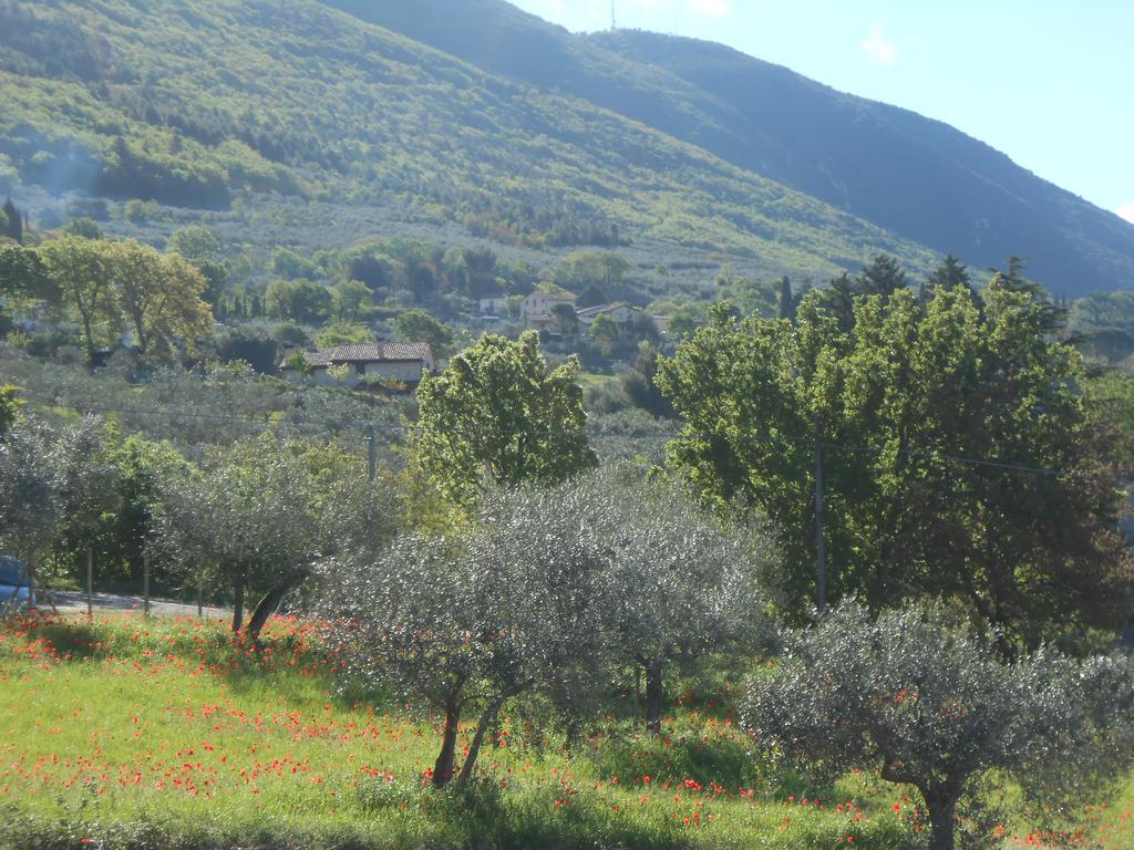 B&B Il Sentiero Di Assisi Exterior photo