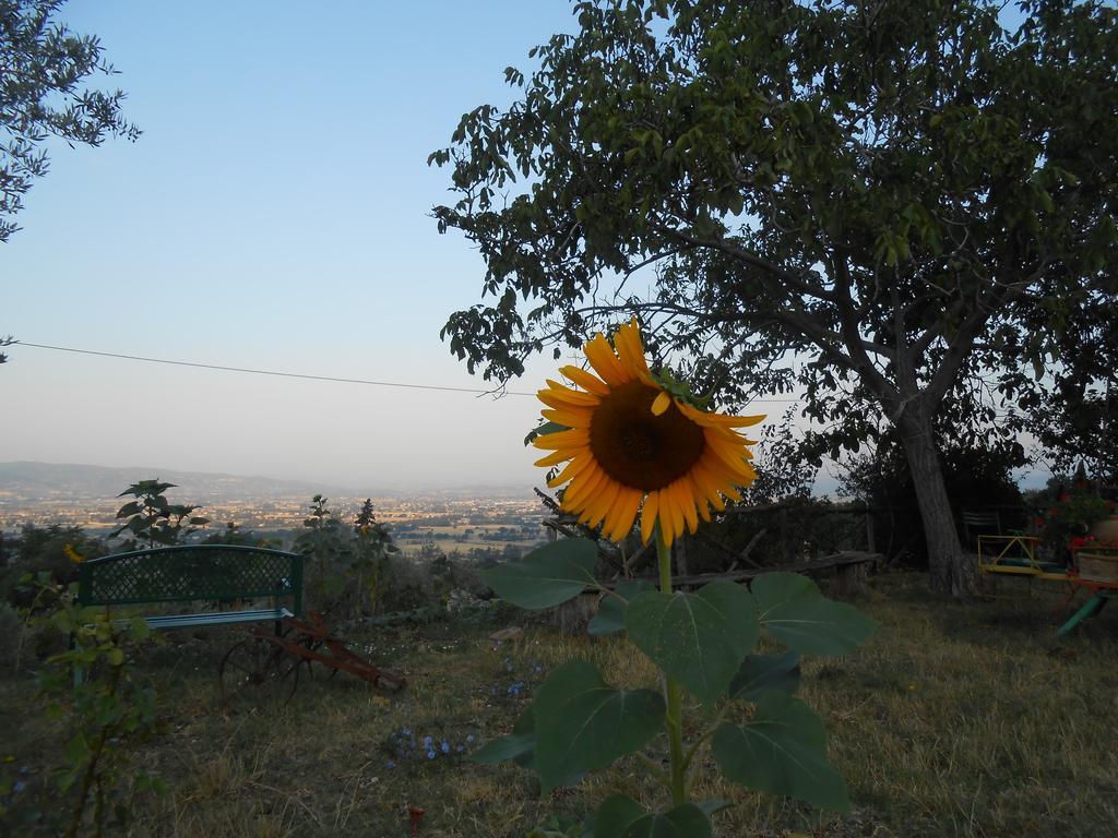 B&B Il Sentiero Di Assisi Exterior photo