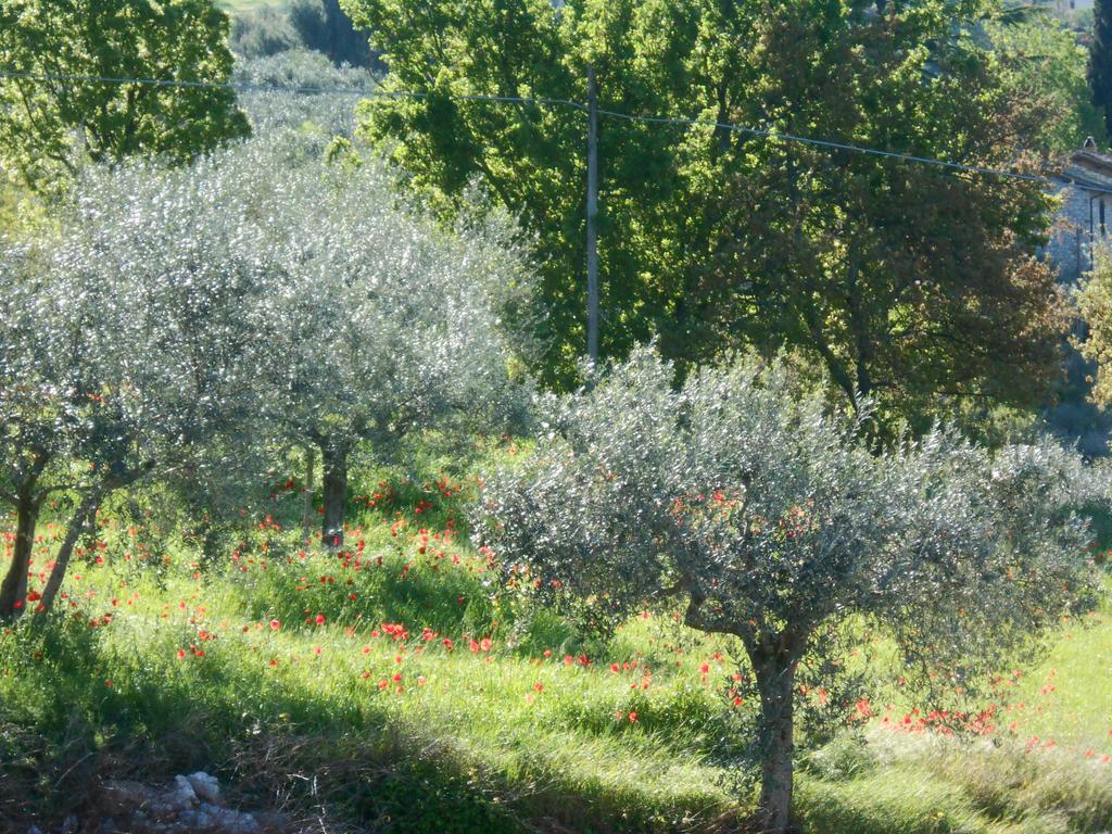 B&B Il Sentiero Di Assisi Exterior photo